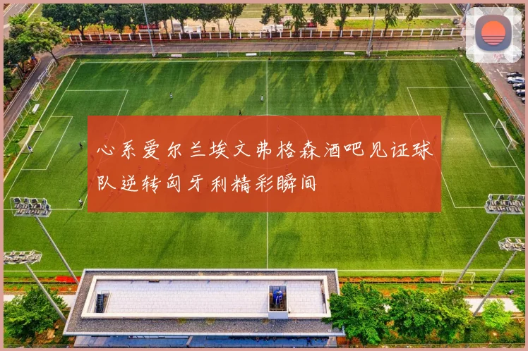 心系爱尔兰埃文弗格森酒吧见证球队逆转匈牙利精彩瞬间